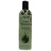 Hollywood Beauty Argan Shampoo -Primal Shop 41x HyIDJPL. SY355 1