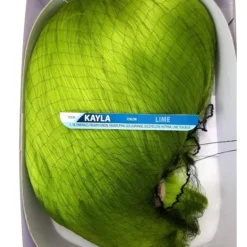 Beshe Kayla Wig -Primal Shop 50694 2000x 9bdcaa11 5dd6 45d5 b3fc 9ce12b48f599