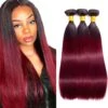 20A Single Straight Bundle Ombre Burgundy 2 20A Single Straight Bundle Ombre Burgundy -Primal Shop 61LElNLr0pL. AC UF1000 1000 QL80