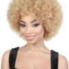 Afro B Synthetic Wig