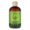 Moringa And Avocado Shampoo 2 Moringa And Avocado Shampoo -Primal Shop L1736656