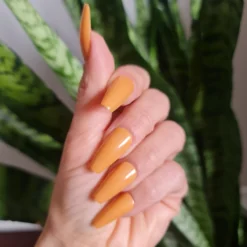 Orange Press On Nails