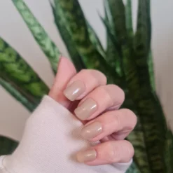 Neutral Color Press On Nails