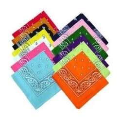 Bandana -Primal Shop assorted bandanas 1024x1024 2x 300x300 bfbe9a3c 5a7a 4b50 a426 718b312cc8f3