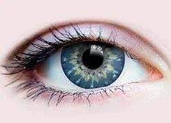 Primal Ethereal Sapphire -Primal Shop download 3d52226a 6600 4dac a4fd 211f2e517dc3