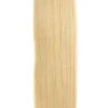 Golden Queen Euro Straight Hair 1 Golden Queen Euro Straight Hair -Primal Shop euro weave hair extensions 22 real blonde 362231