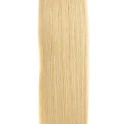 Golden Queen Euro Straight Hair